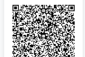 BTCPay Bezahlseite