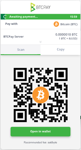 BTCPay Bezahlseite früher BTCPay Bezahlseite früher
