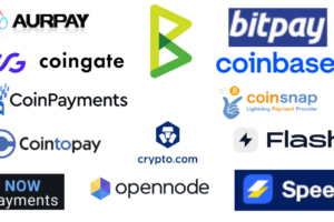 Die 10 besten Bitcoin Zahlungsanbieter
