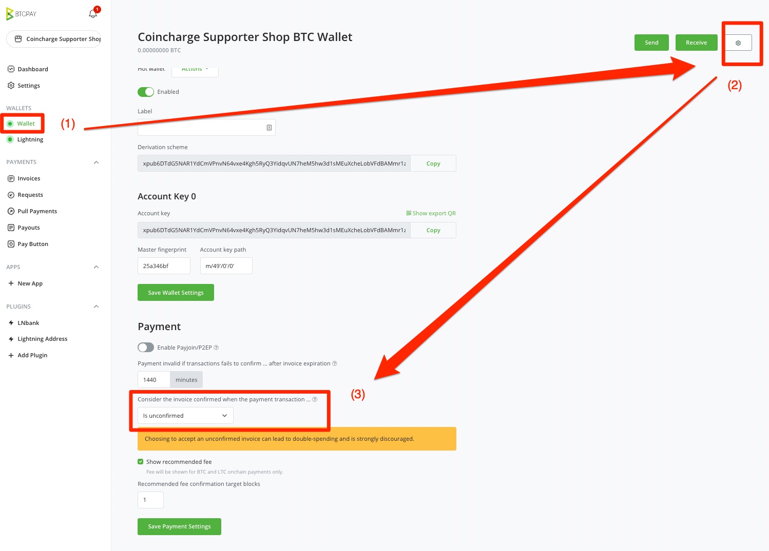 Wallet Settings Payment
