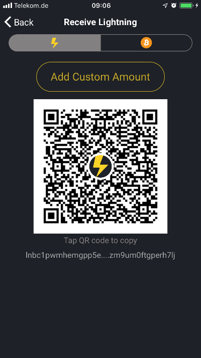Wallet of Satoshi Lightning erhalten