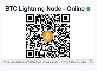 Bitcoin Lightning Node Bitcoin Lightning Node