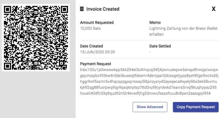 Lightning Invoice created Lightning Invoice created