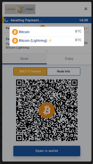 Lightning Payment Page Lightning Payment Page