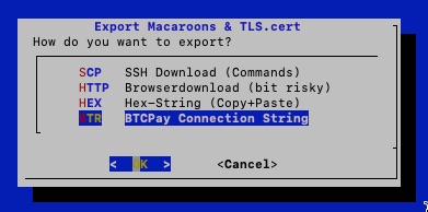 BTCPay Connection String BTCPay Connection String