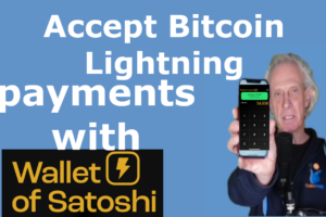 Accept bitcoin lightning payments with wallet of Satoshi