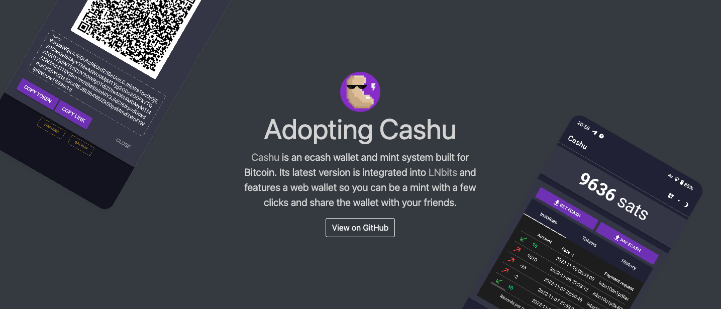 Cashu Lnbits extension