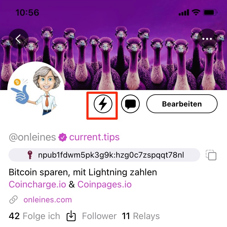 Nostr Profil mit Lightning Adresse Nostr Profil mit Lightning Adresse