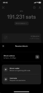Strike receive bitcoin