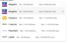 Lightning Service Provider Lightning Service Provider